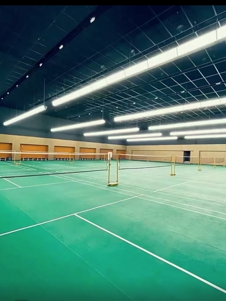 عالية CRI العسل المضادة للوهج  - مراجعة Hall Table Tennis وسعره